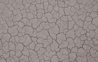 Pesticides use in the EU