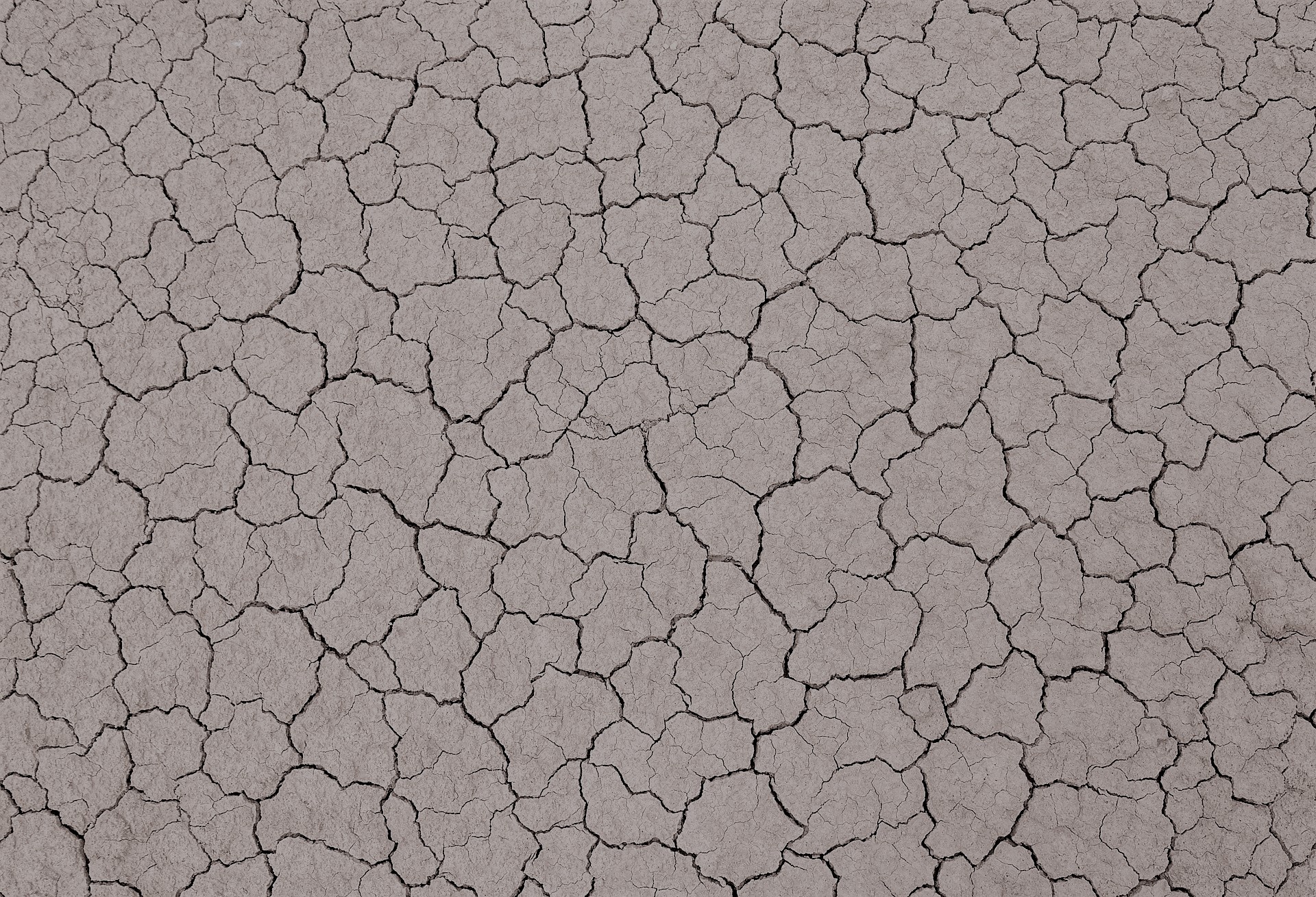 soil-5342049_1920 BIOSCHAMP #EUPartnerEvent sustainability and circular economy