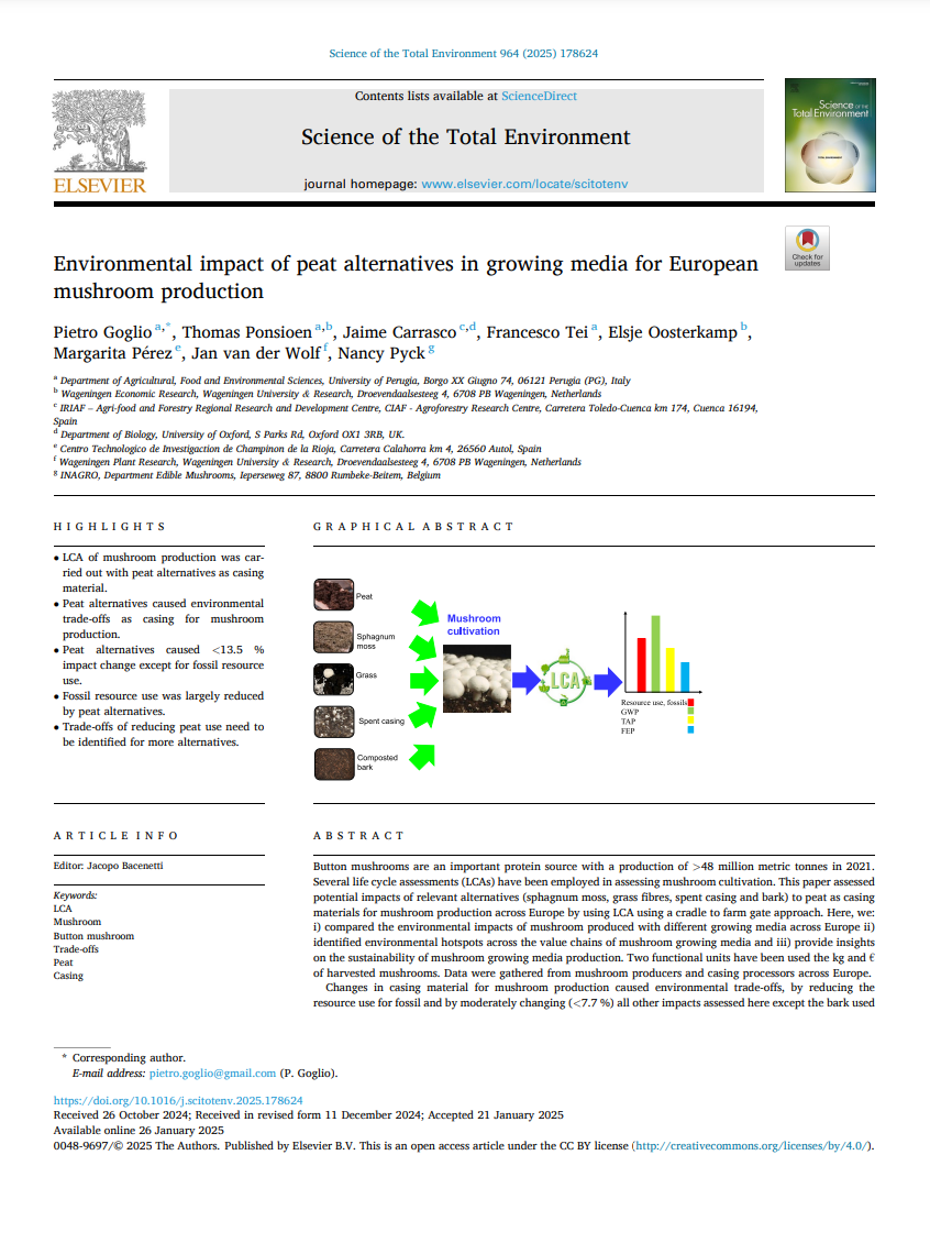 Screenshot 2025-01-28 162529